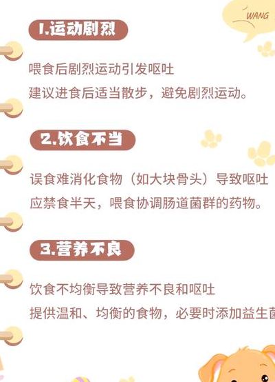 狗吐白沫是怎么回事（小狗狗吐白沫是怎么回事）