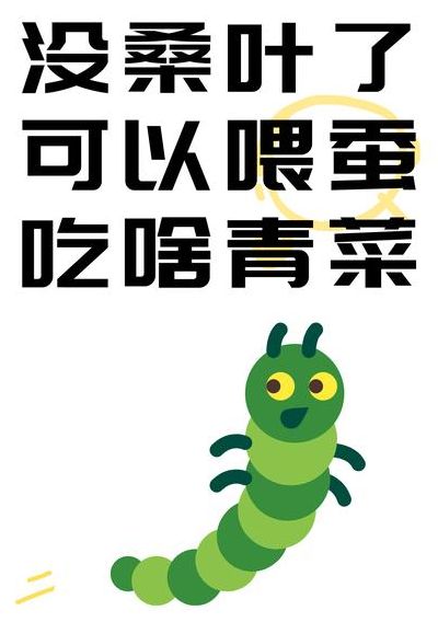 没有桑叶拿什么给蚕吃（如果没有桑叶蚕吃什么）