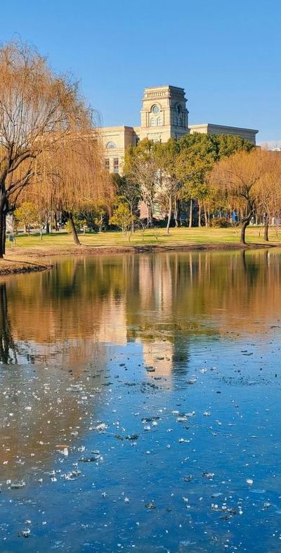 复旦大学哪个校区最美（复旦大学有多美）