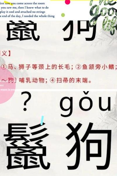 非洲鬣狗怎么读（非洲鬣狗的鬣怎么写）