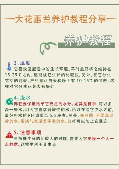 蕙兰怎么养（蕙兰怎么养殖方法与技巧）