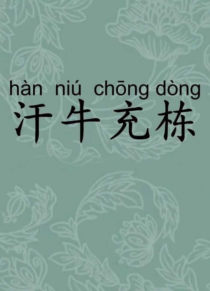 汗牛充栋打一生肖（汗牛充栋打一字）