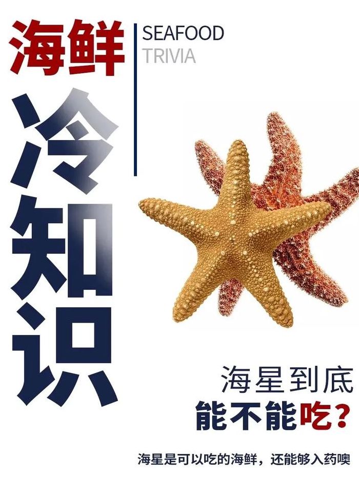 海星营养价值（海星正确吃法）