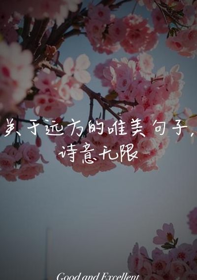 关于远方的唯美句子（关于远方的唯美句子150字）