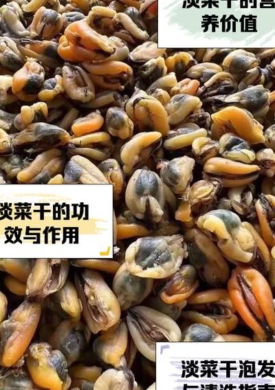 淡菜干怎么洗（淡菜干怎么洗掉最简单方法视频）